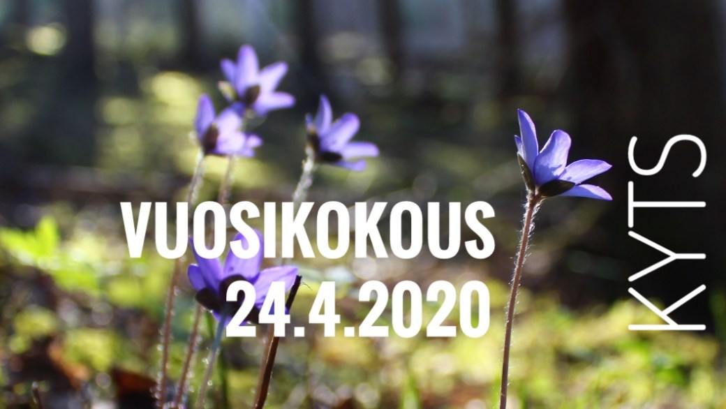 KYTS_sinivuokot-02